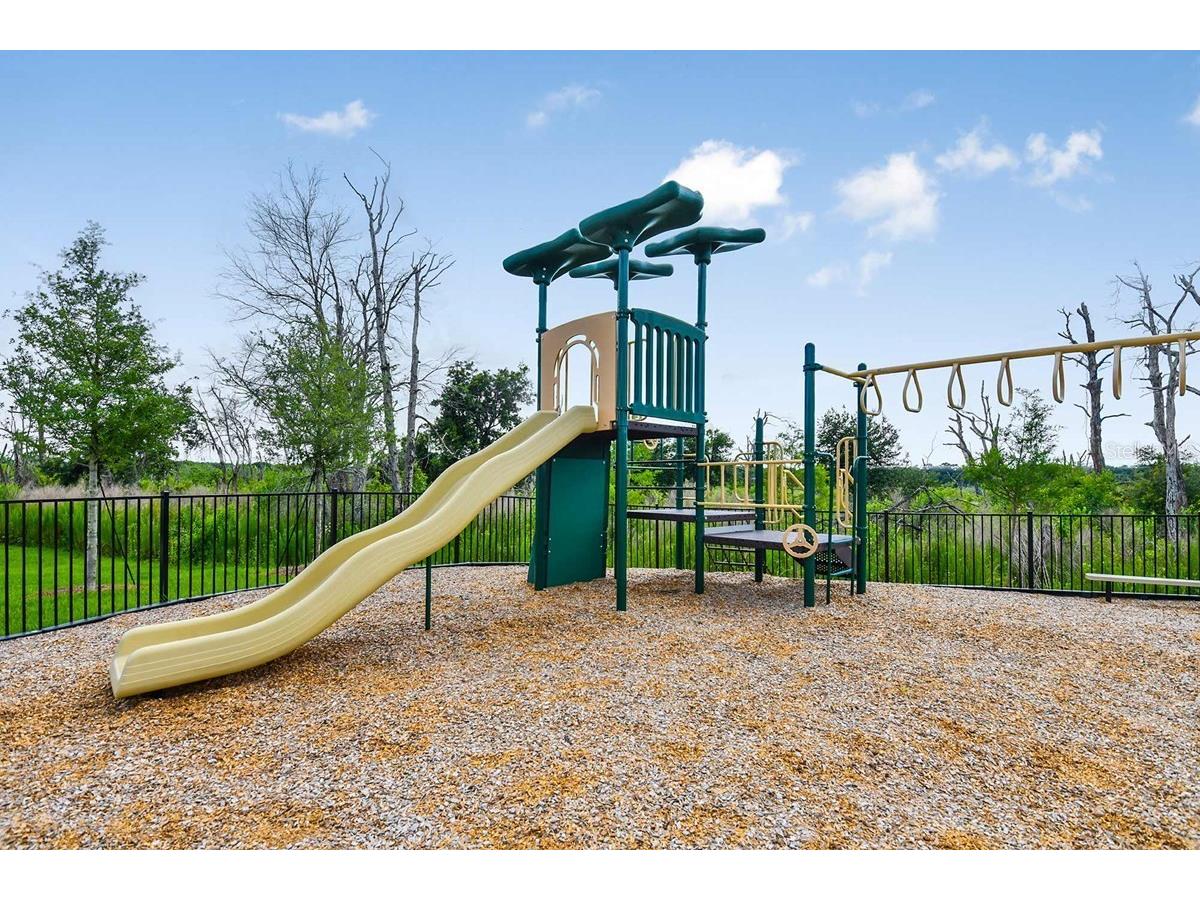 1789 Terrapin Road Ocoee FL 34761 S5150904 image26
