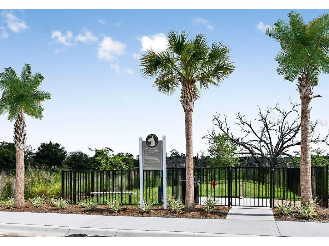 1789 Terrapin Road Ocoee FL 34761 S5150904 image29