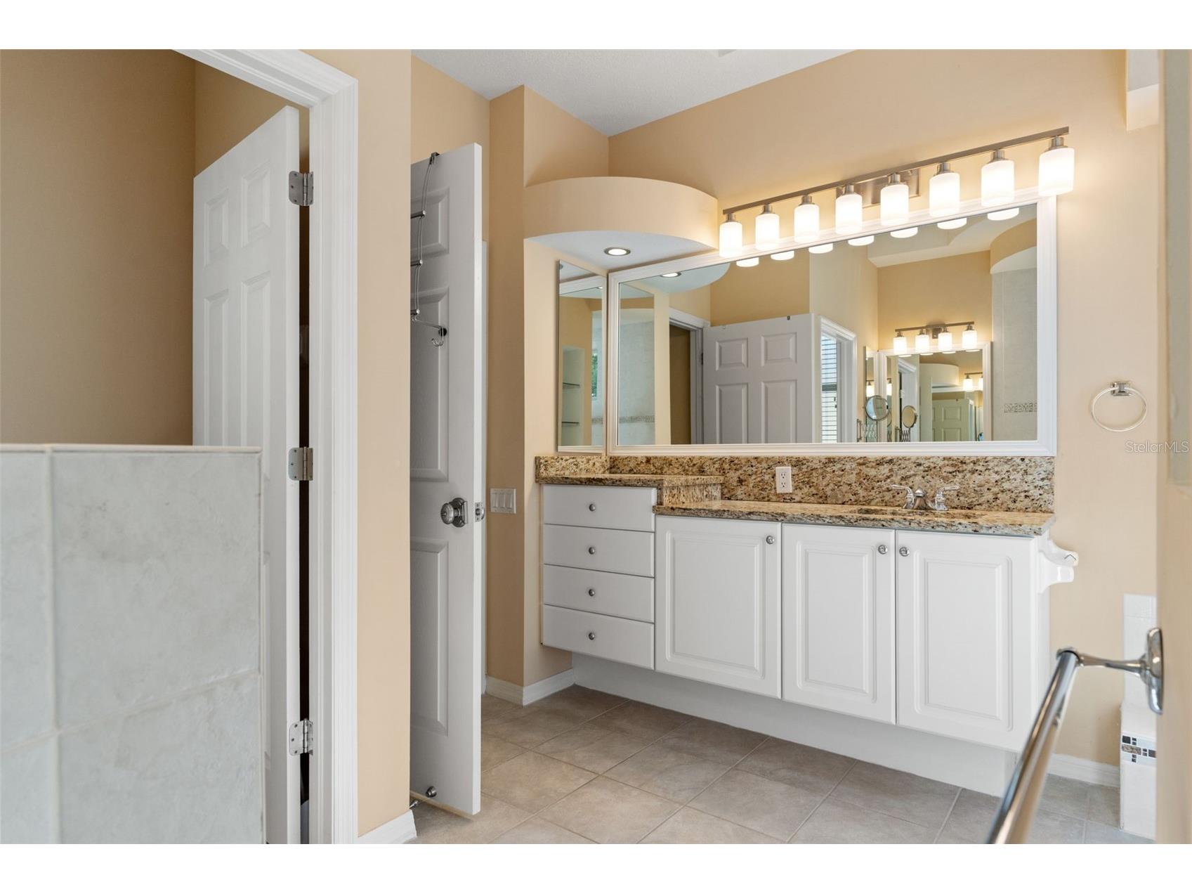 17890 Arbor Greene Drive Tampa FL 33647 TB8423528 image29