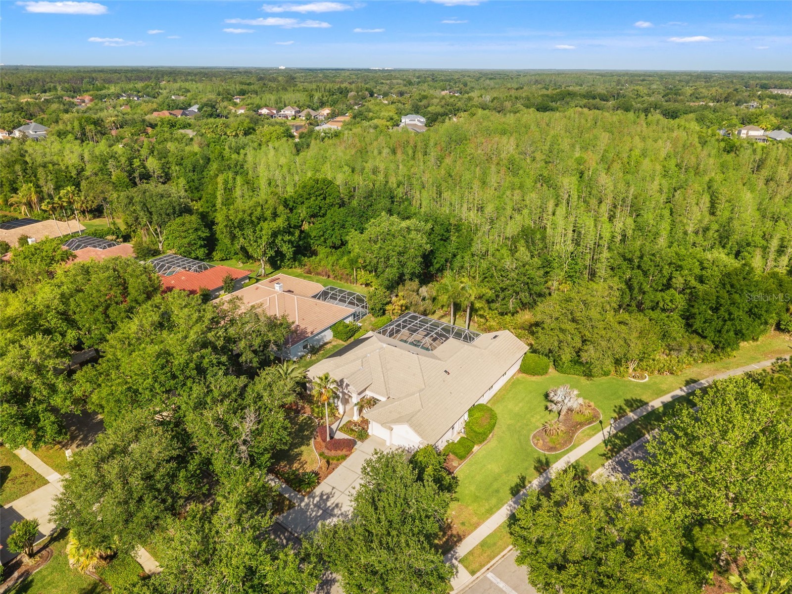 17890 Arbor Greene Drive Tampa FL 33647 TB8423528 image4