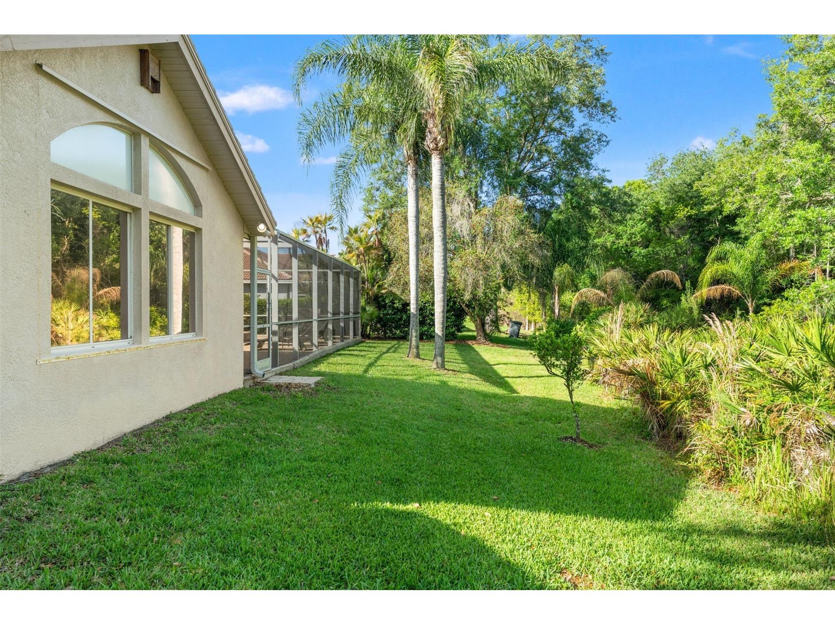 17890 Arbor Greene Drive Tampa FL 33647 TB8423528 image56