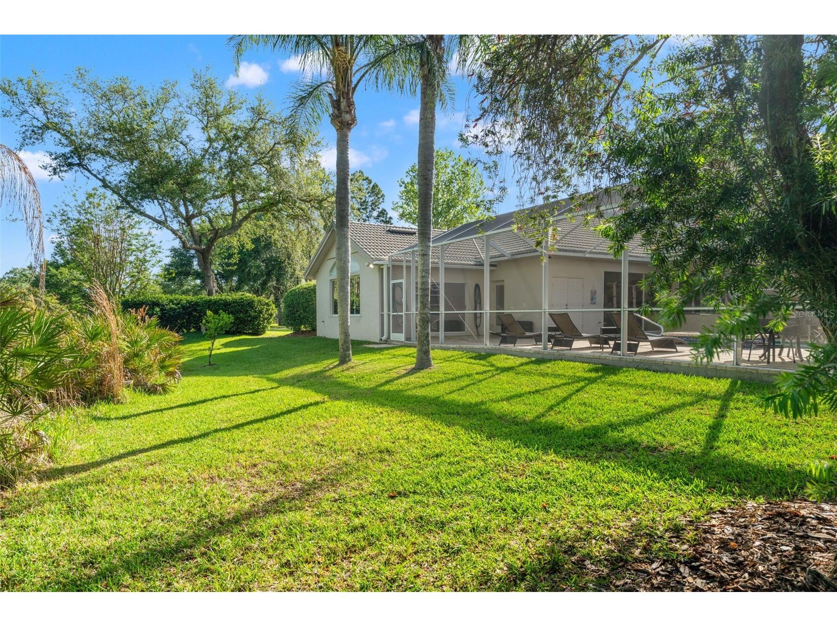 17890 Arbor Greene Drive Tampa FL 33647 TB8423528 image57