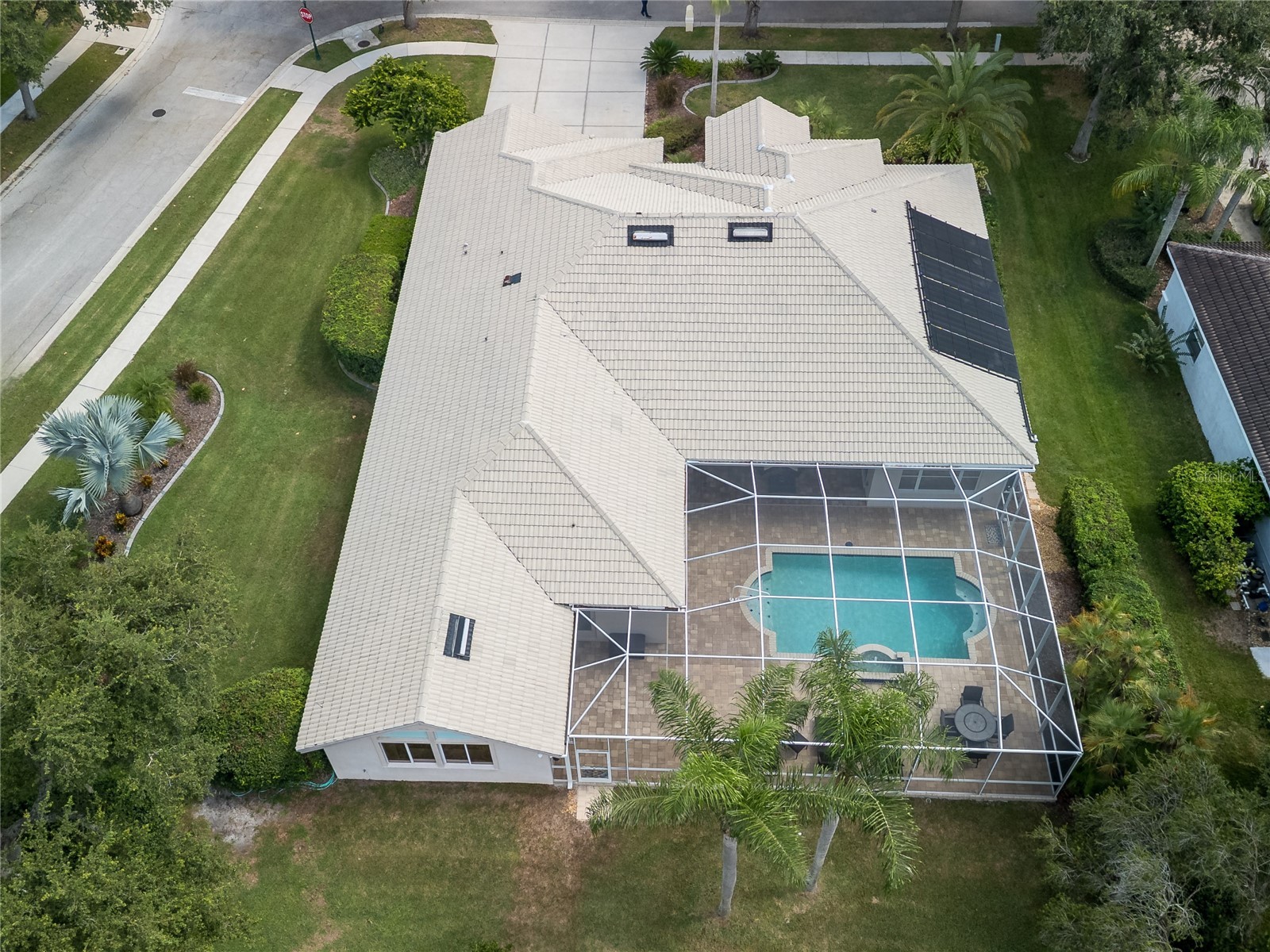17890 Arbor Greene Drive Tampa FL 33647 TB8423528 image58