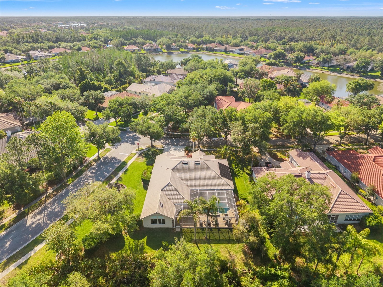 17890 Arbor Greene Drive Tampa FL 33647 TB8423528 image59