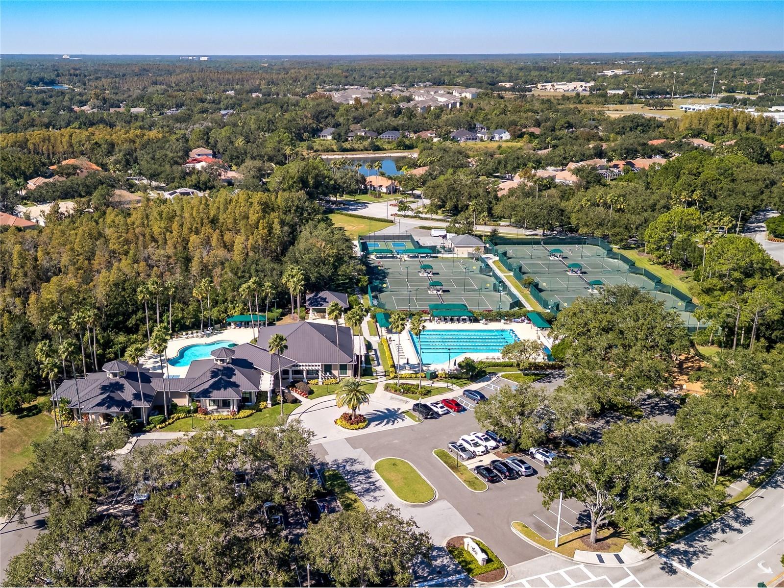 17890 Arbor Greene Drive Tampa FL 33647 TB8423528 image60