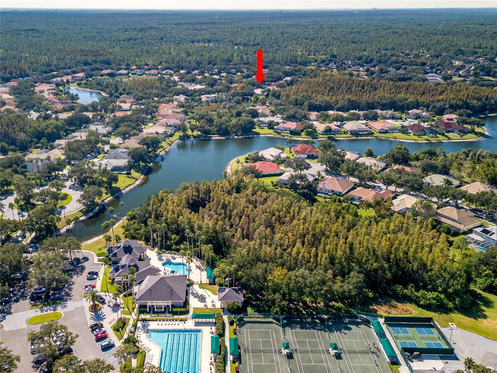 17890 Arbor Greene Drive Tampa FL 33647 TB8423528 image61