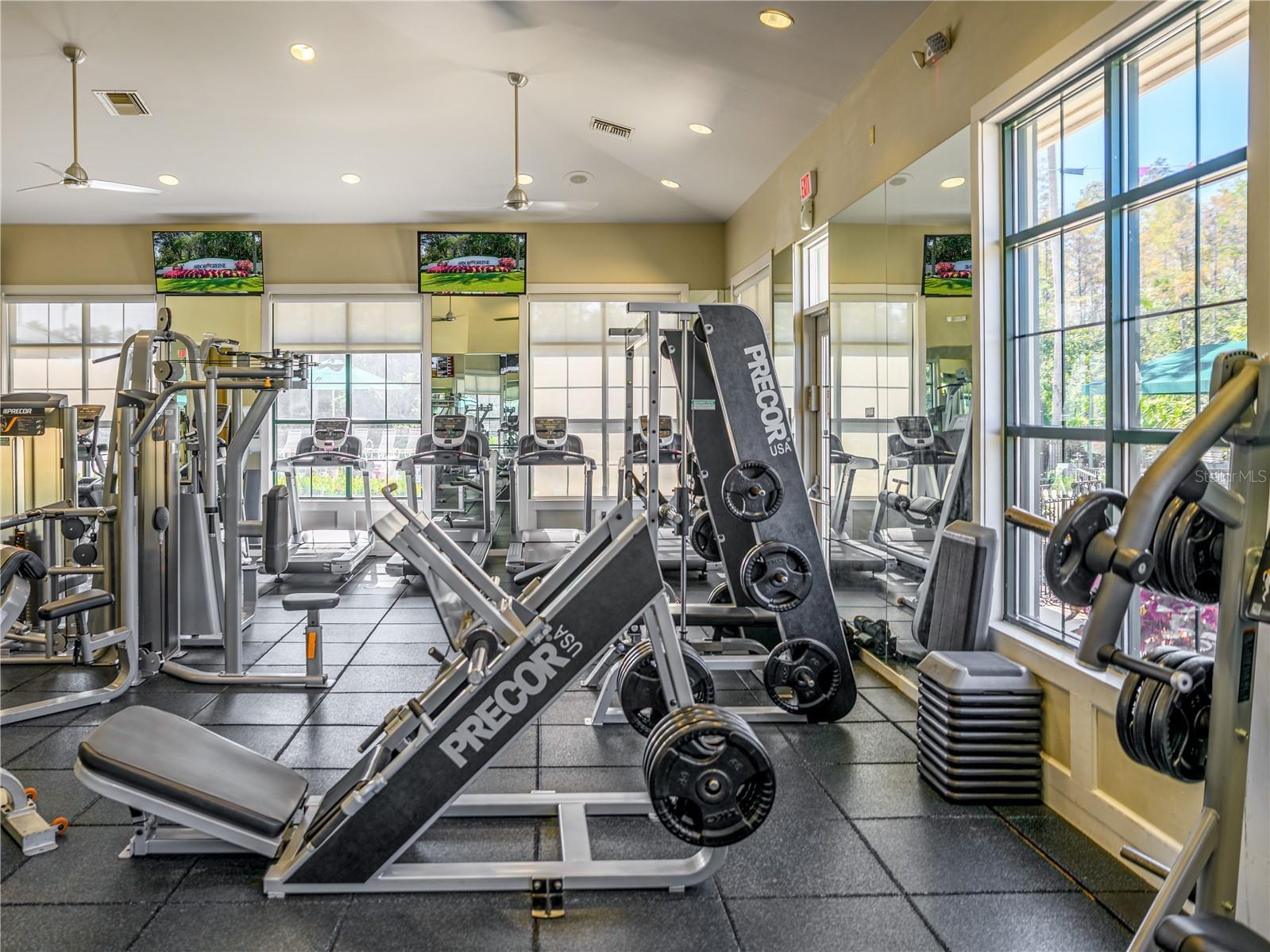 17890 Arbor Greene Drive Tampa FL 33647 TB8423528 image62