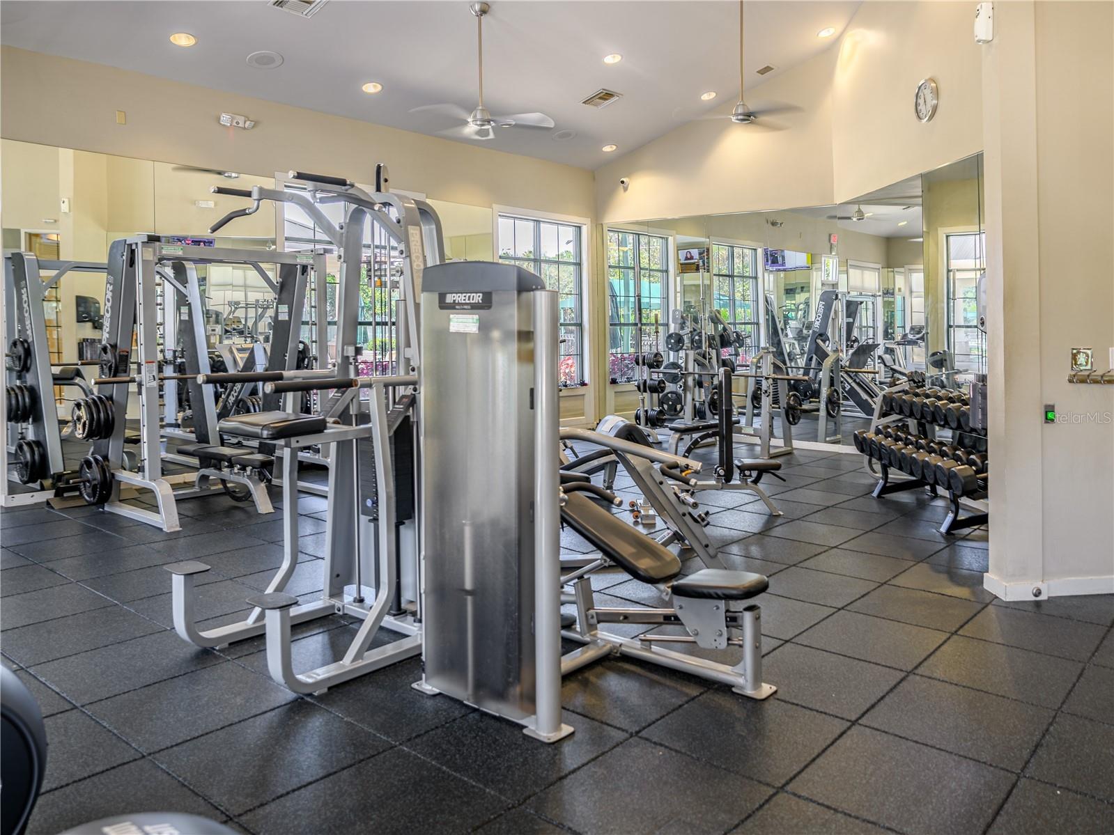 17890 Arbor Greene Drive Tampa FL 33647 TB8423528 image63