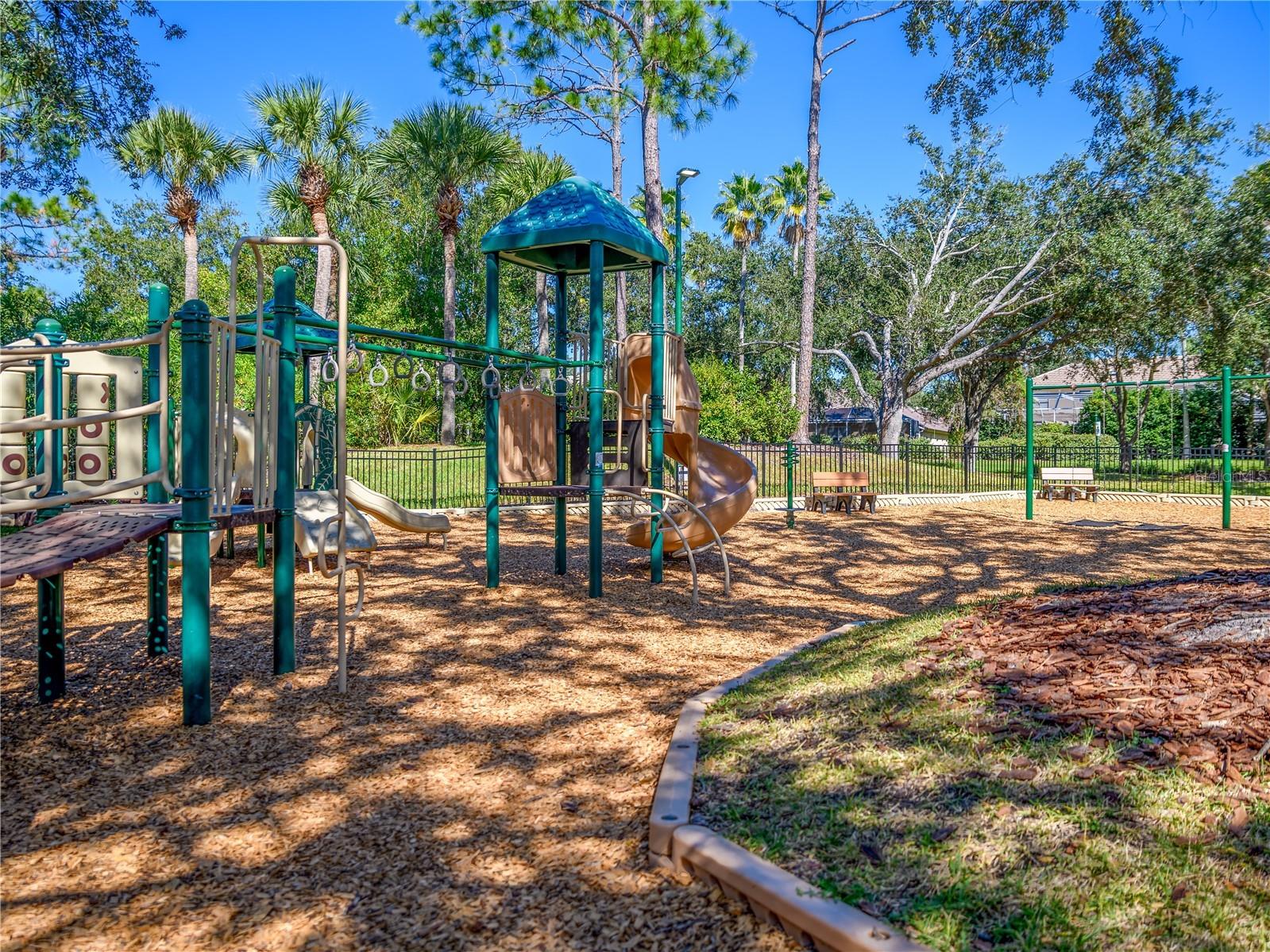 17890 Arbor Greene Drive Tampa FL 33647 TB8423528 image64
