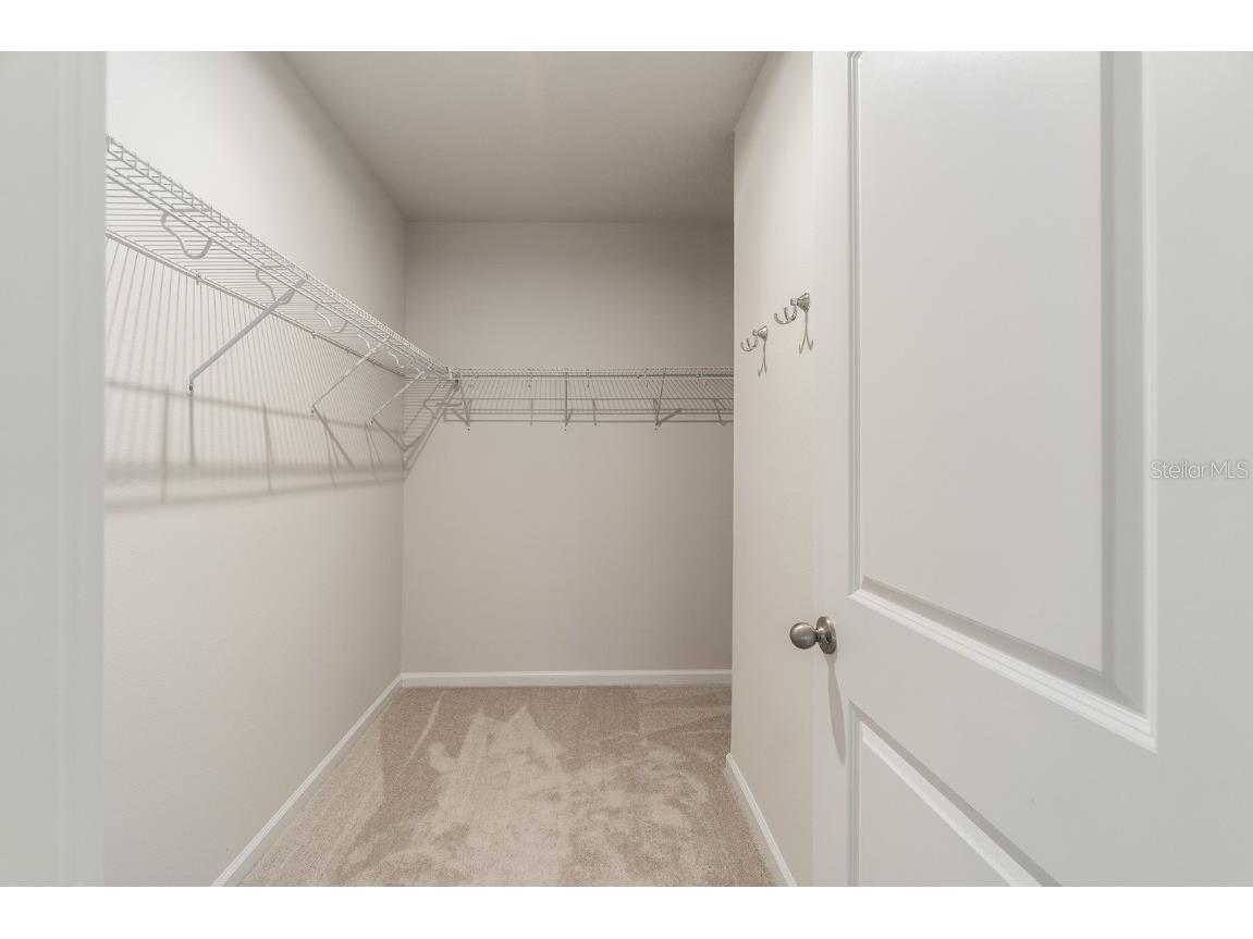 17897 Turning Leaf Circle Land O Lakes FL 34638 TB8453496 image13