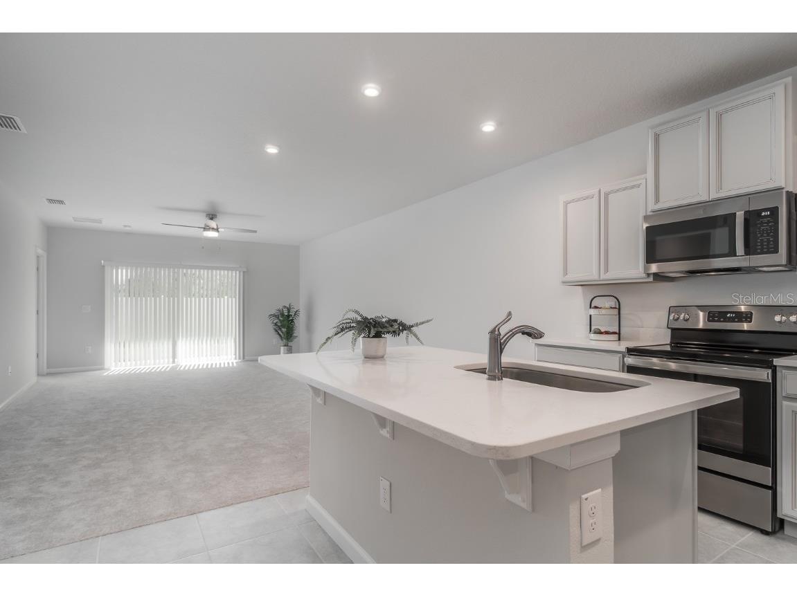 17897 Turning Leaf Circle Land O Lakes FL 34638 TB8453496 image9