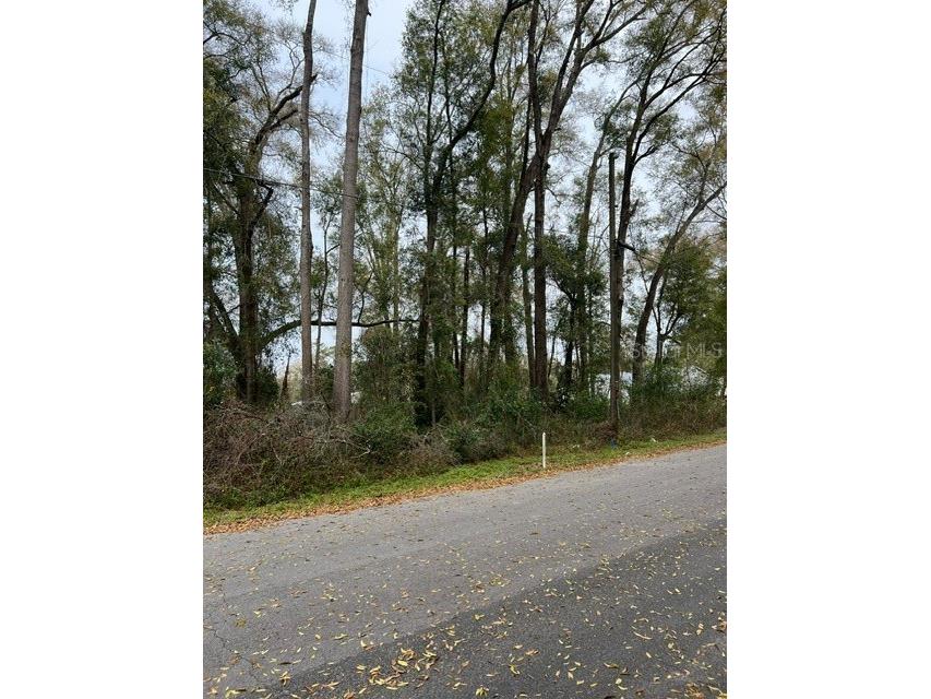 178th NW Douglas NW #PARCEL 00421 High Springs FL 32655 GC519899 image1