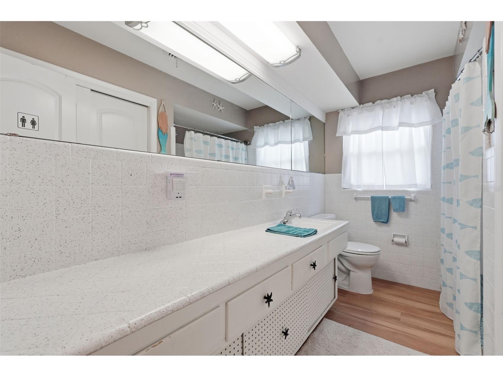 179 E Canal Drive Palm Harbor FL 34684 TB8505355 image20