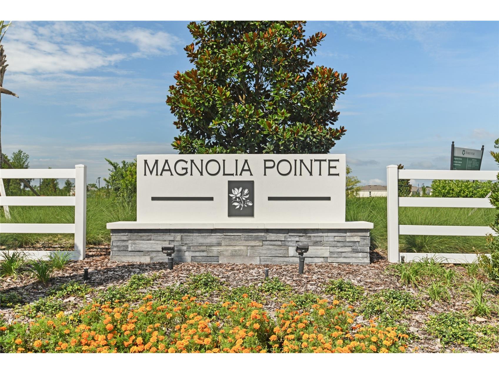 179 Flag Lilly Lane Umatilla FL 32784 S5130401 image3