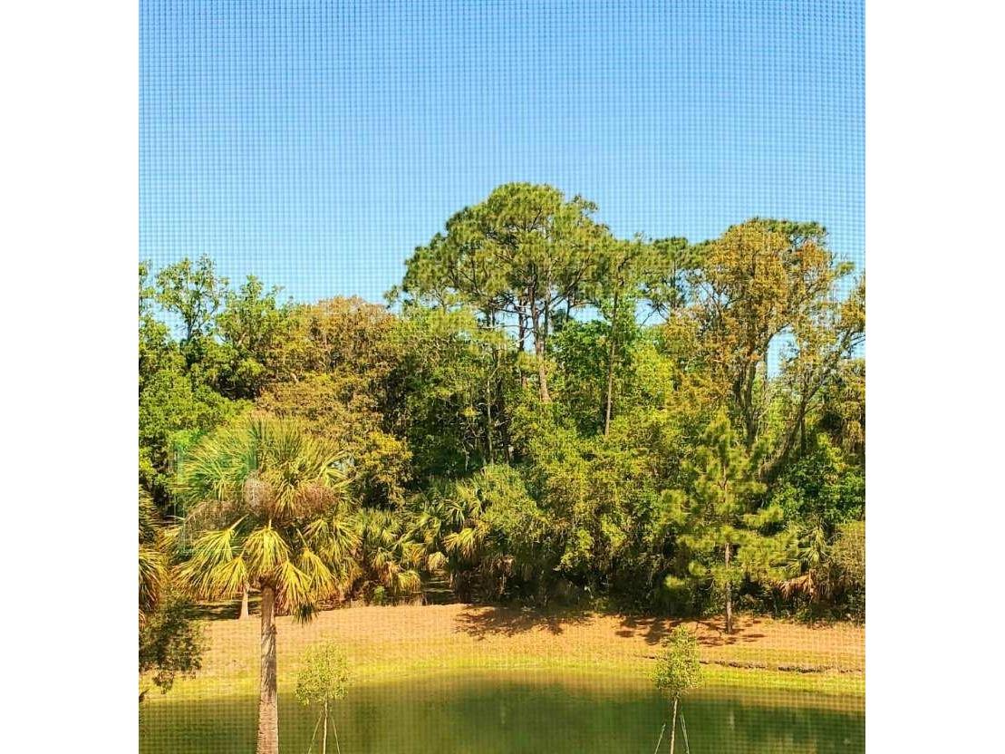 179 Misty Harbor Trace Palm Coast FL 32137 FC319026 image25