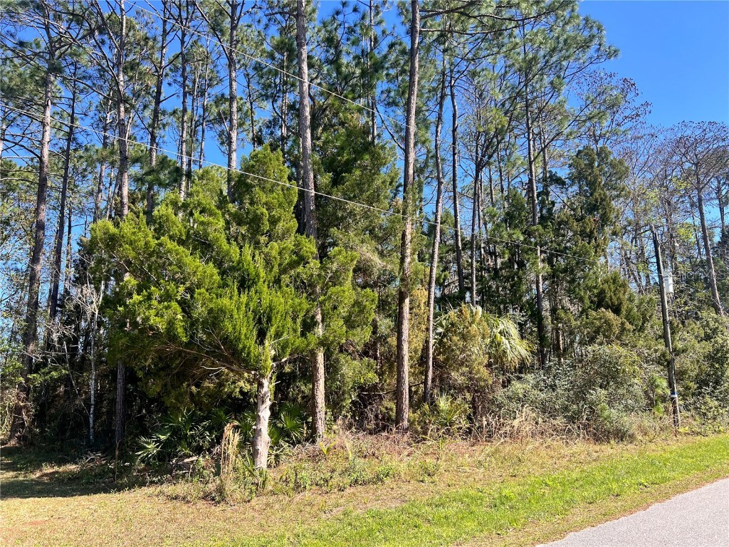 179 Ullian Trail Palm Coast FL 32164 FC307814 image1