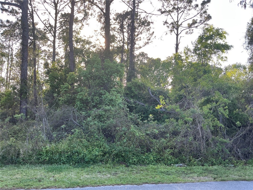 179 Westgrill Drive Palm Coast FL 32164 OM701159 image1