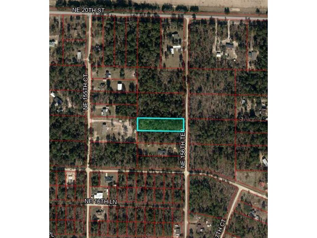 1790 NE 156th Terrace Williston FL 32696 OM695344 image2