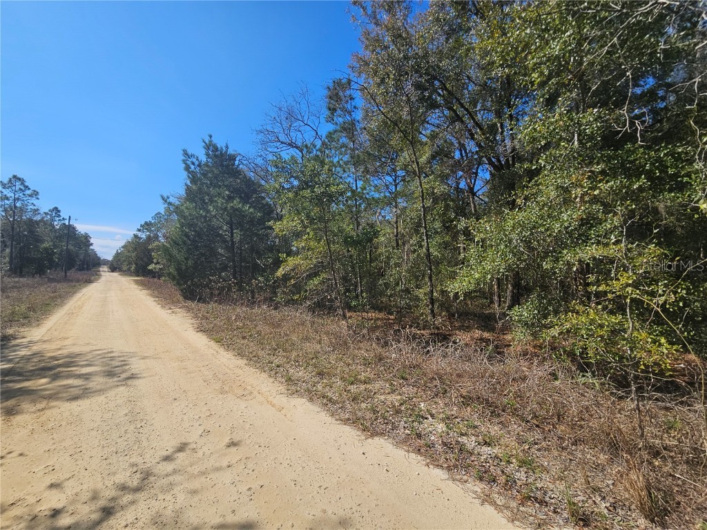 1790 NE 156th Terrace Williston FL 32696 OM695344 image3