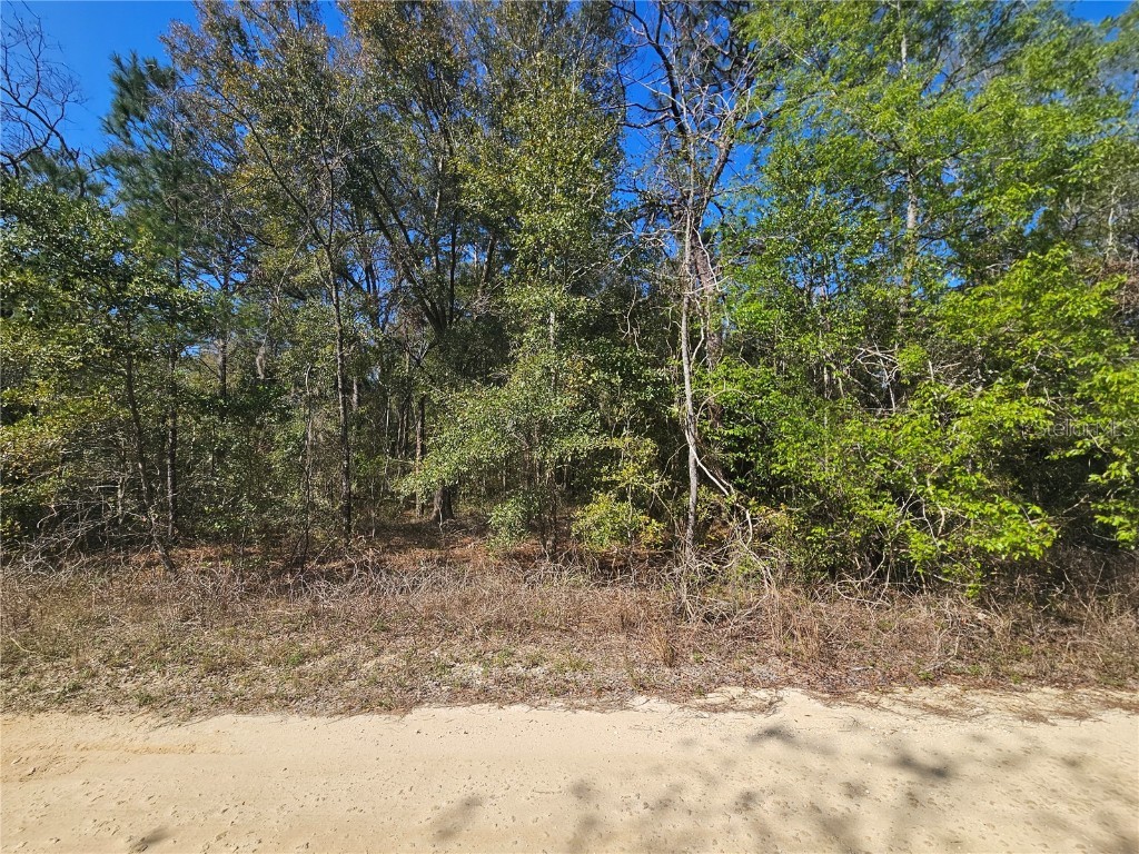 1790 NE 156th Terrace Williston FL 32696 OM695344 image4