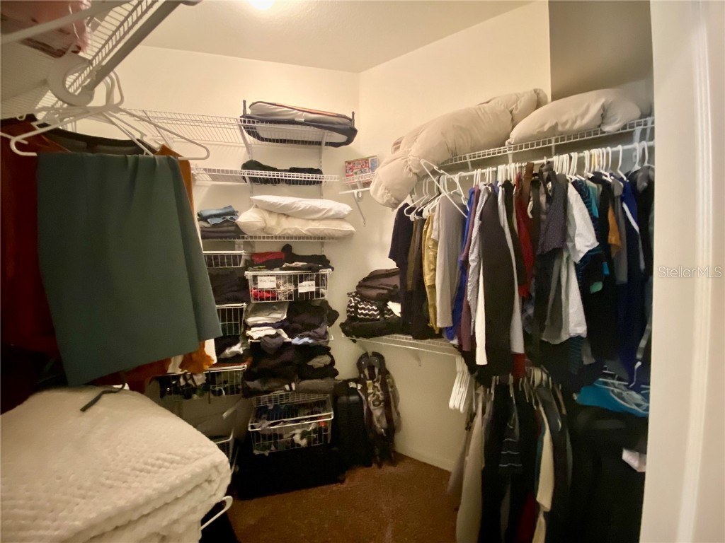 1790 Turtle Rock Drive Lakeland FL 33803 P4935175 image25