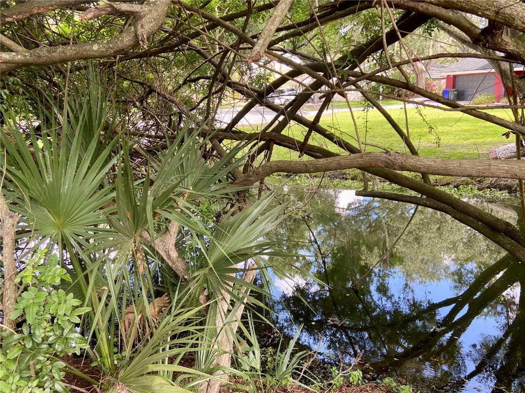 1790 Turtle Rock Drive Lakeland FL 33803 P4935175 image39