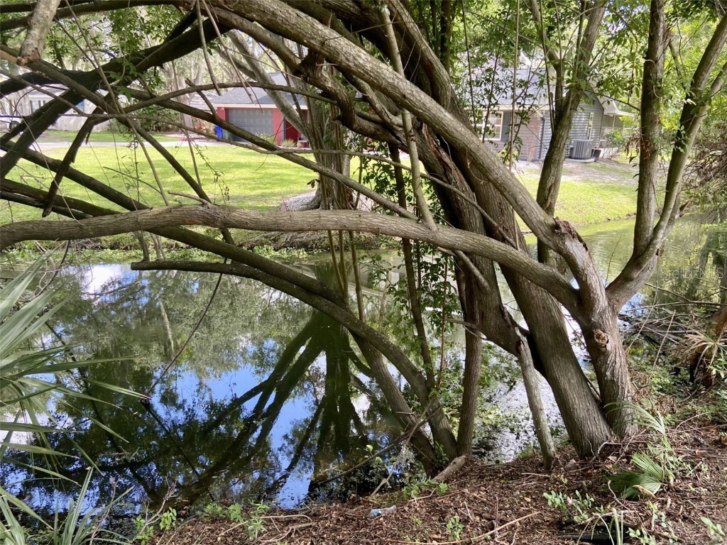 1790 Turtle Rock Drive Lakeland FL 33803 P4935175 image40