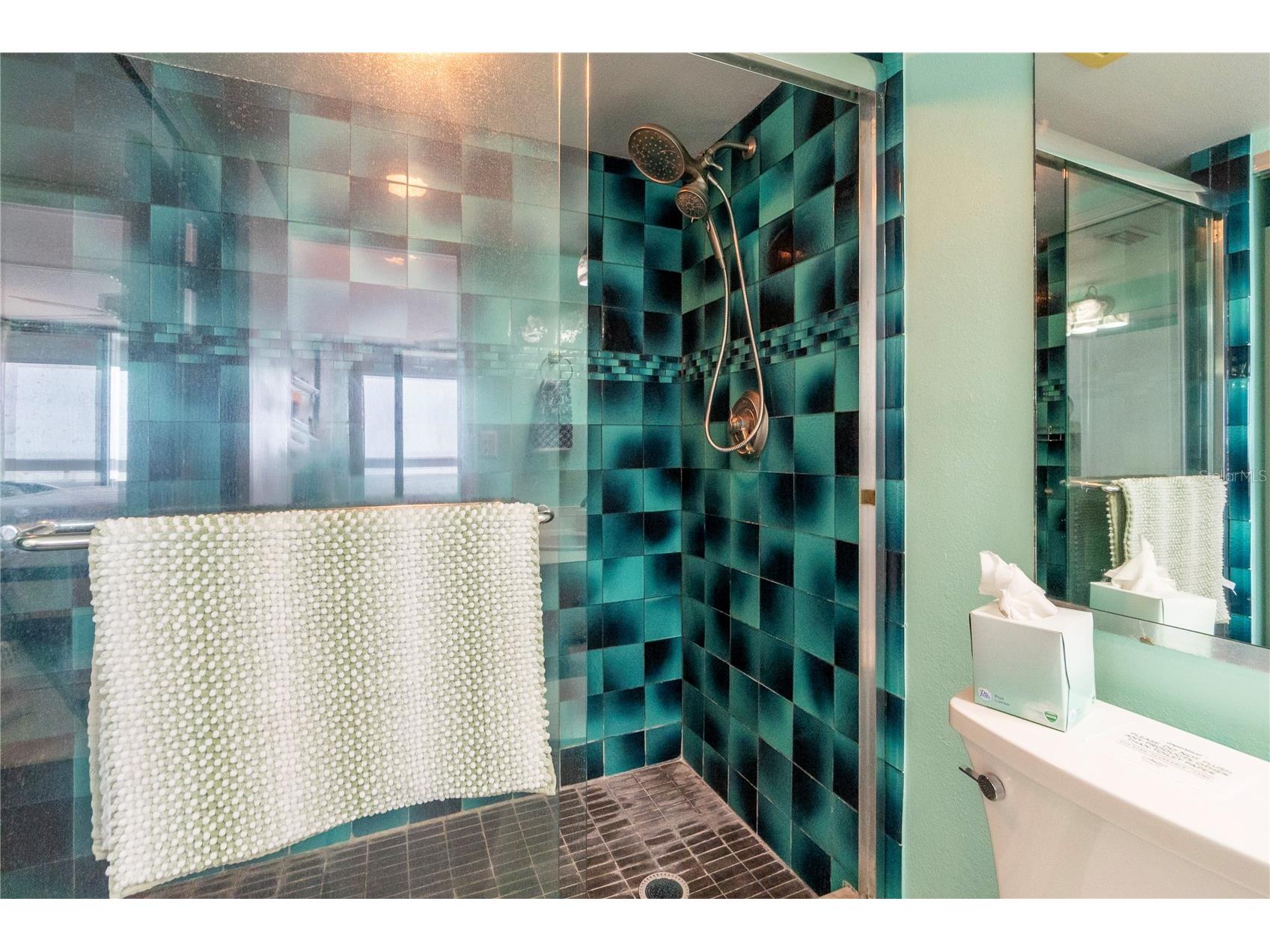 17900 Gulf Boulevard #11C Redington Shores FL 33708 TB8512254 image31