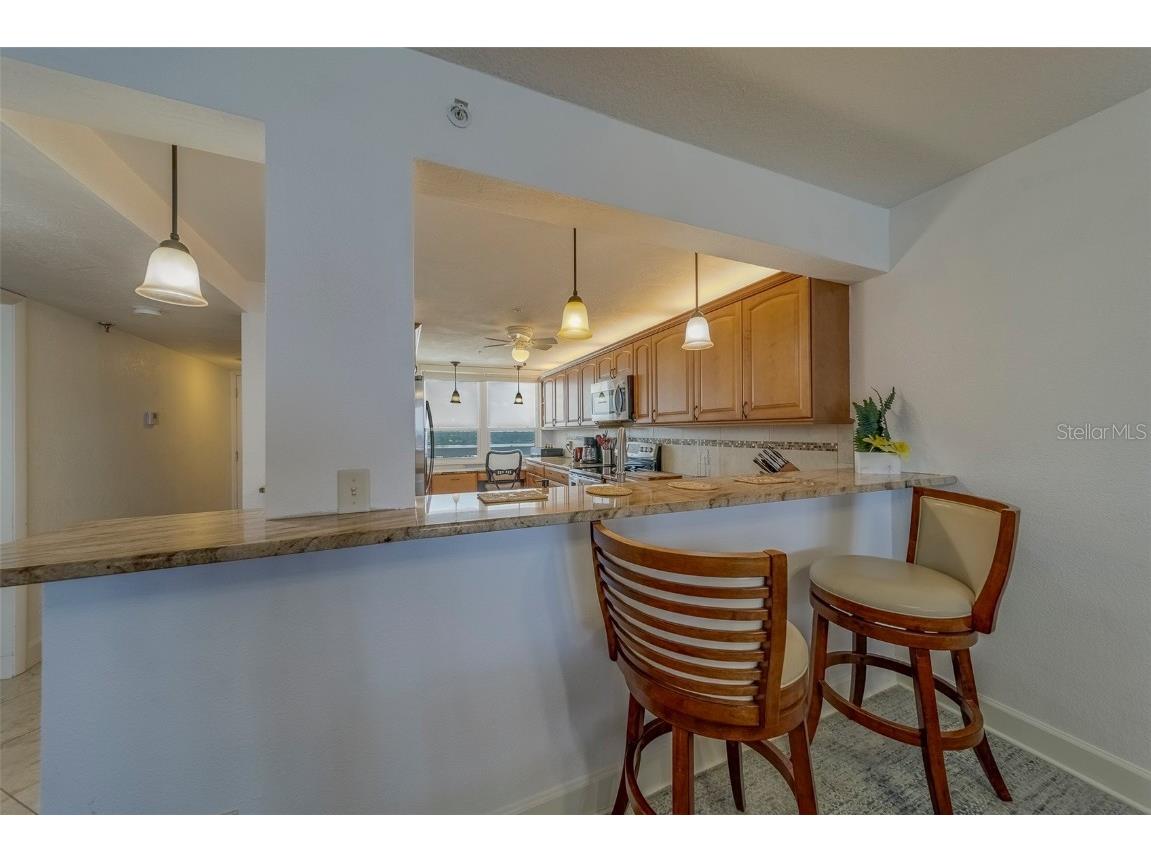 17900 Gulf Boulevard #12C Redington Shores FL 33708 TB8384093 image8