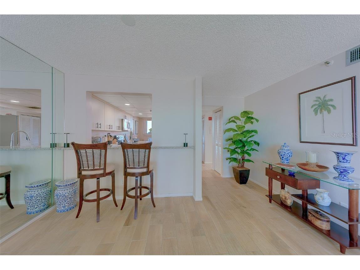 17900 Gulf Boulevard #1B Redington Shores FL 33708 TB8458462 image9