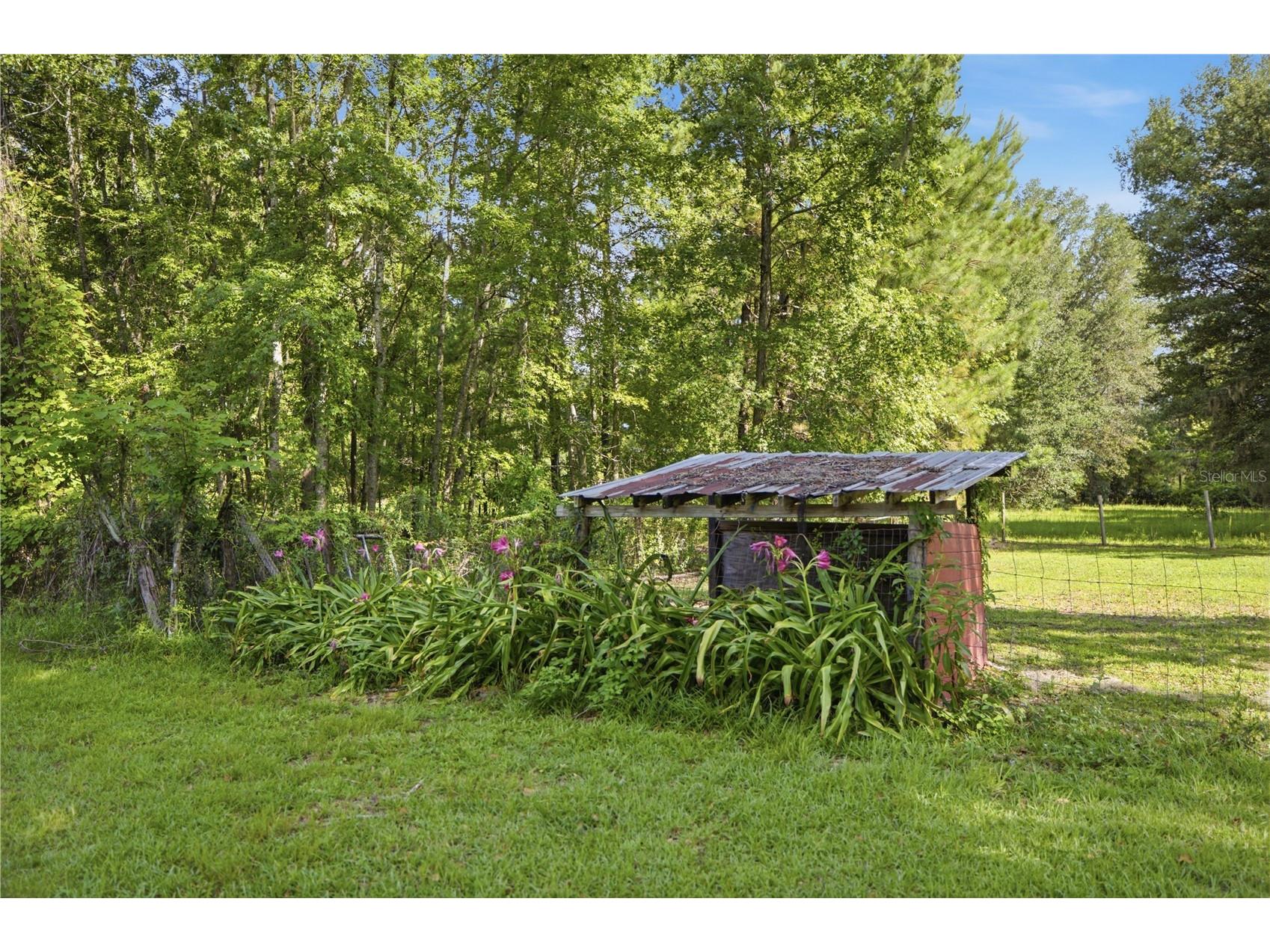 17900 NW 120th Avenue Road Reddick FL 32686 OM727085 image31
