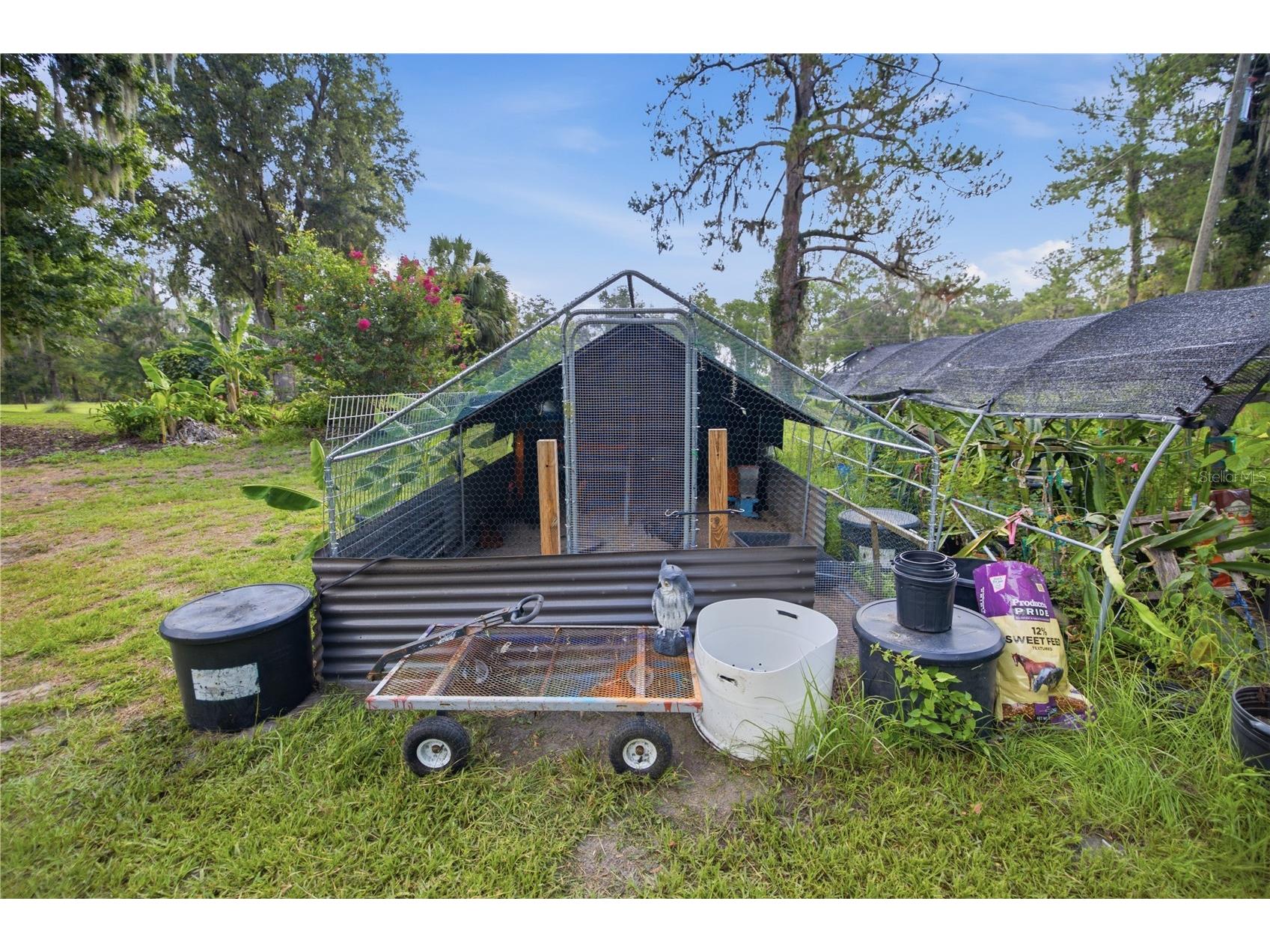 17900 NW 120th Avenue Road Reddick FL 32686 OM727085 image34