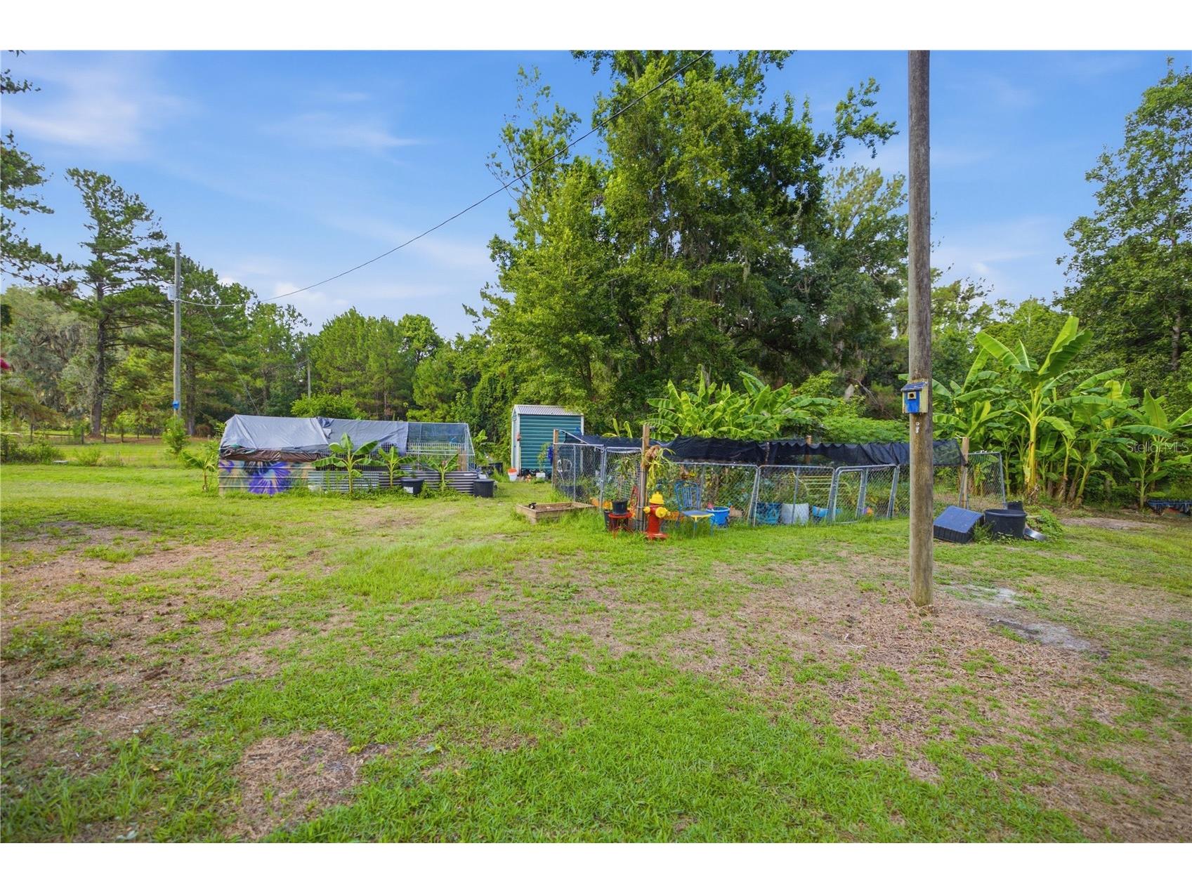 17900 NW 120th Avenue Road Reddick FL 32686 OM727085 image35