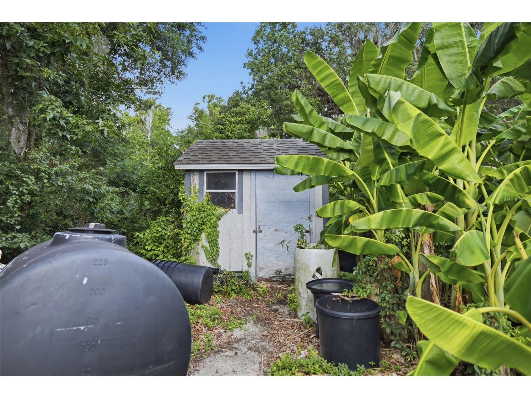 17900 NW 120th Avenue Road Reddick FL 32686 OM727085 image36