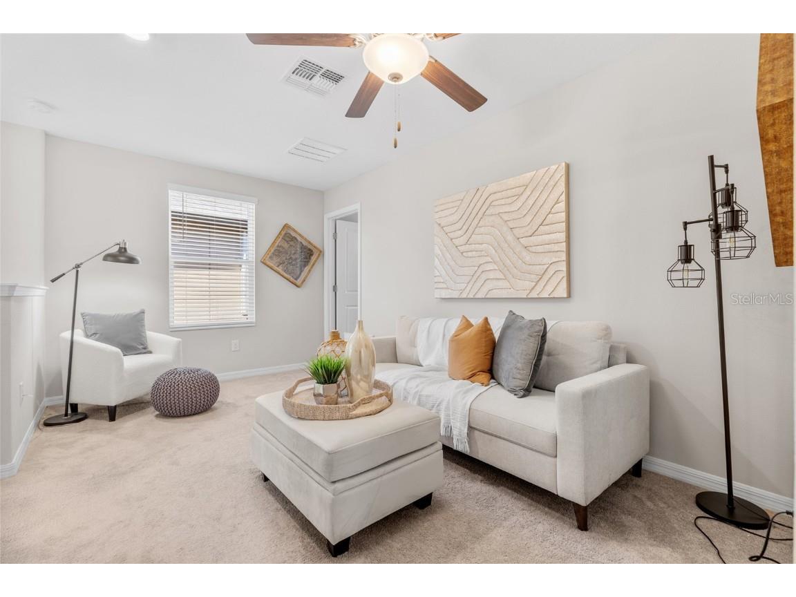 17901 Cloudless Bliss Drive Lutz FL 33558 TB8414379 image22