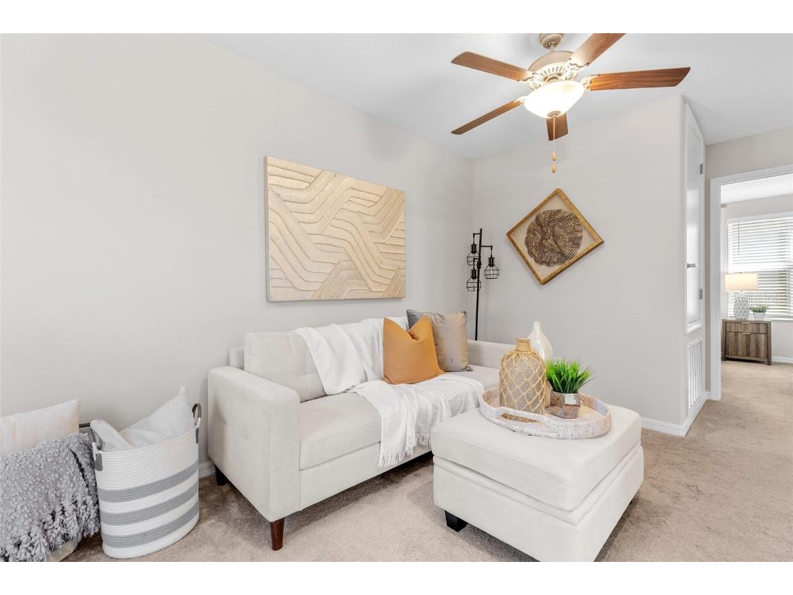 17901 Cloudless Bliss Drive Lutz FL 33558 TB8414379 image23