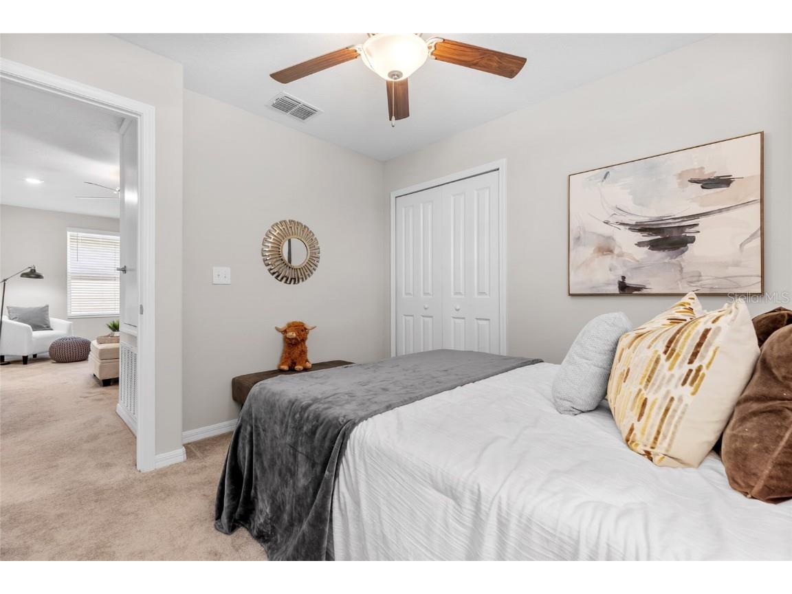 17901 Cloudless Bliss Drive Lutz FL 33558 TB8414379 image27