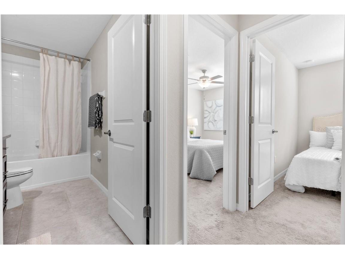 17901 Cloudless Bliss Drive Lutz FL 33558 TB8414379 image28