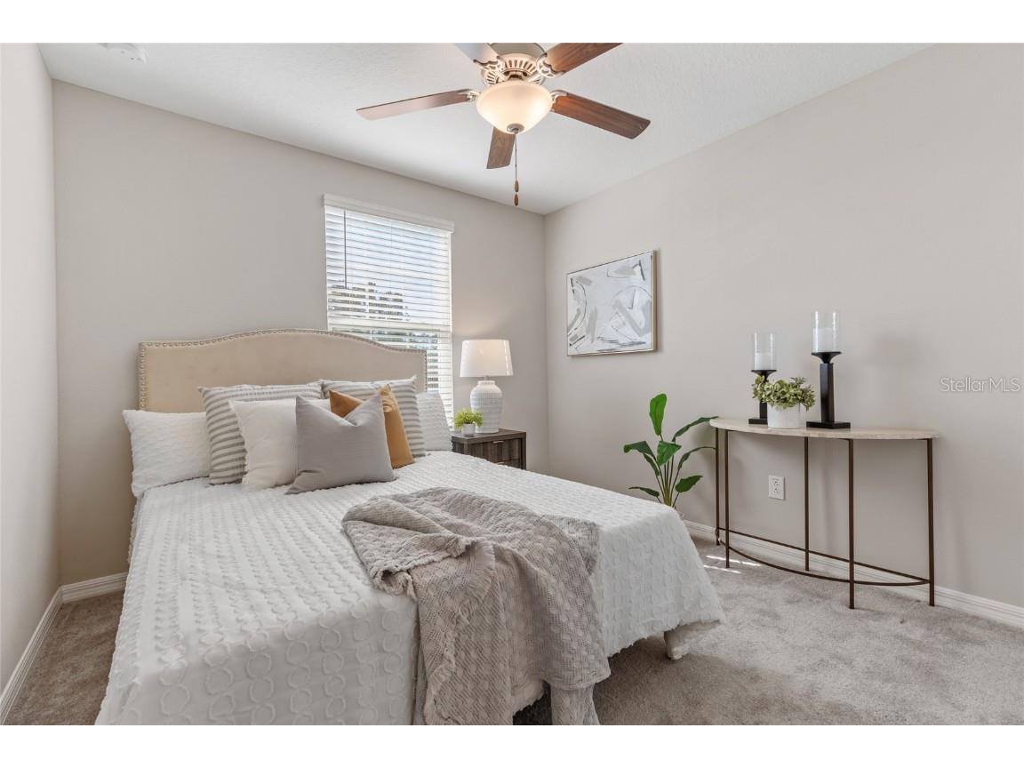 17901 Cloudless Bliss Drive Lutz FL 33558 TB8414379 image29