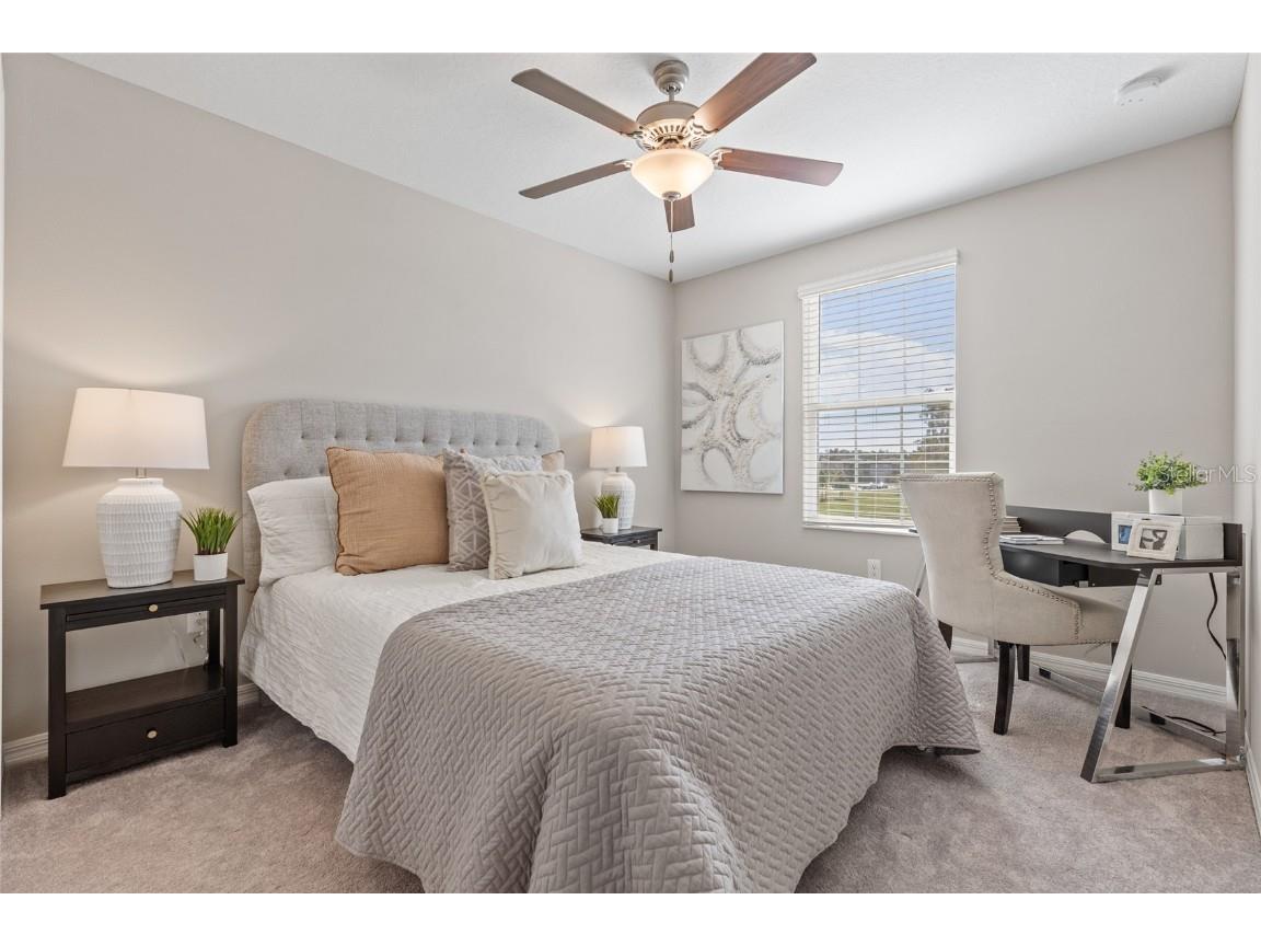 17901 Cloudless Bliss Drive Lutz FL 33558 TB8414379 image34