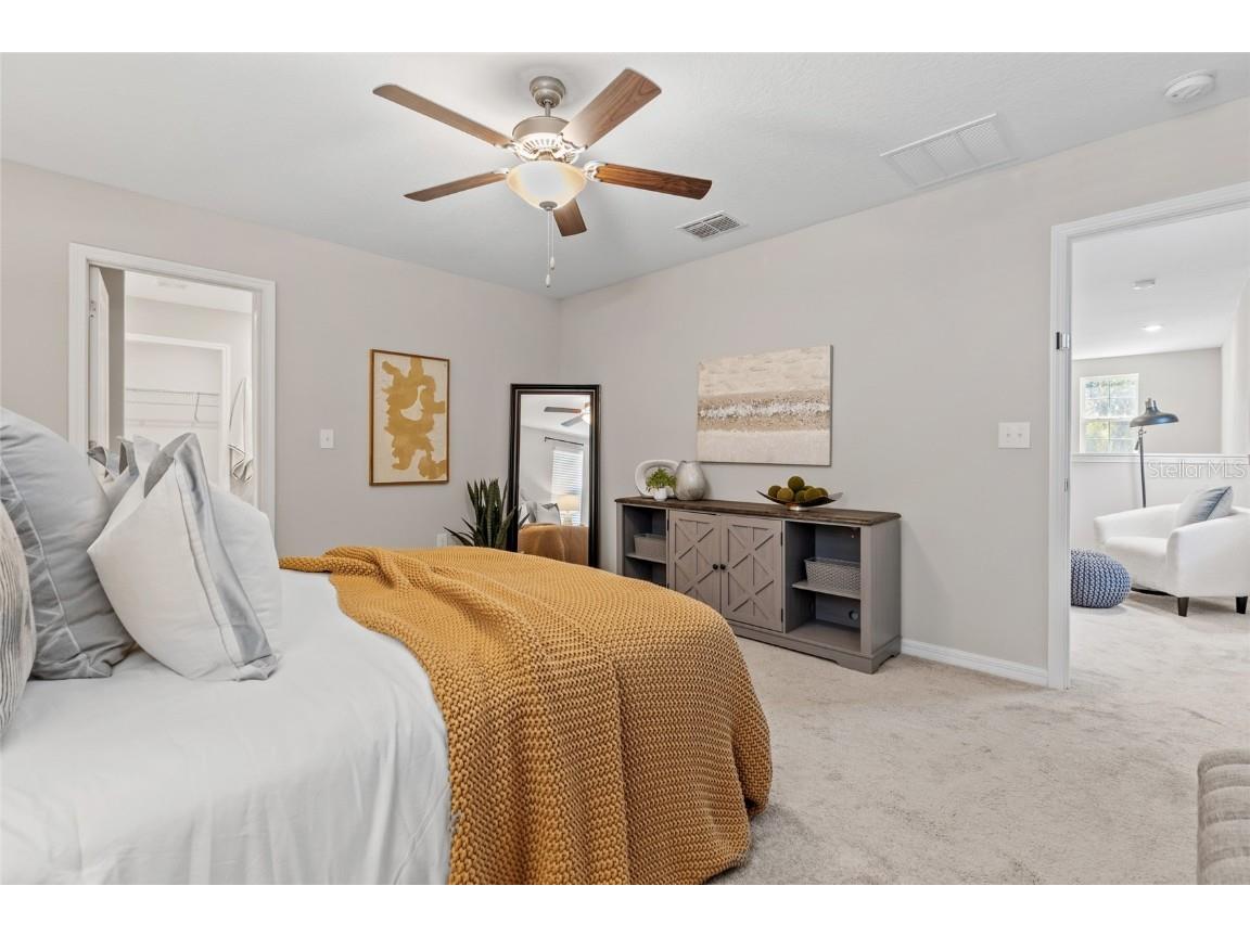 17901 Cloudless Bliss Drive Lutz FL 33558 TB8414379 image38