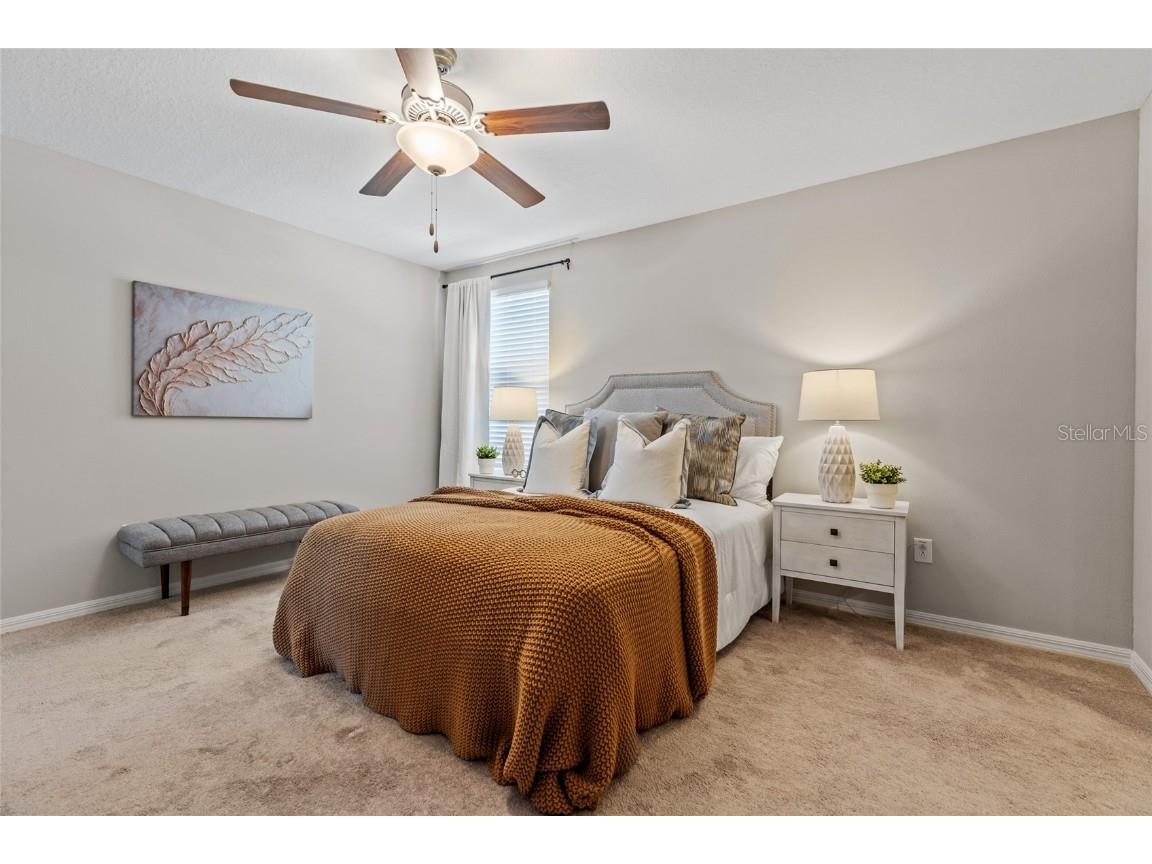 17901 Cloudless Bliss Drive Lutz FL 33558 TB8414379 image39