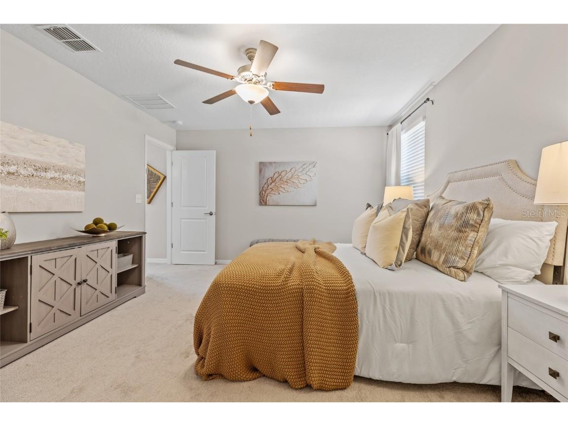 17901 Cloudless Bliss Drive Lutz FL 33558 TB8414379 image40