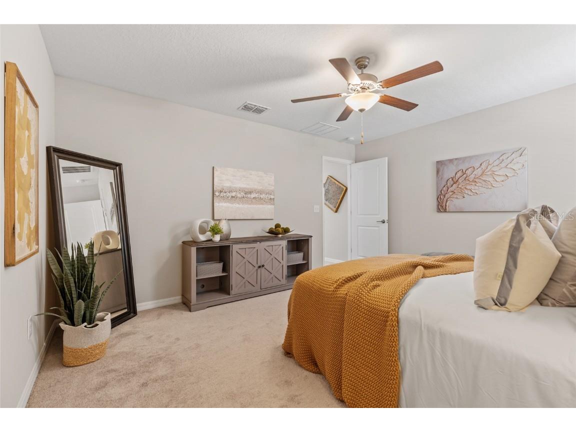 17901 Cloudless Bliss Drive Lutz FL 33558 TB8414379 image41