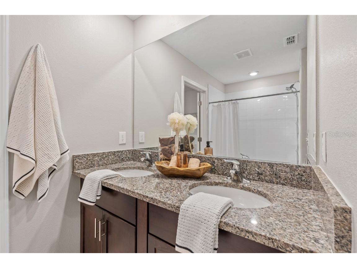 17901 Cloudless Bliss Drive Lutz FL 33558 TB8414379 image43