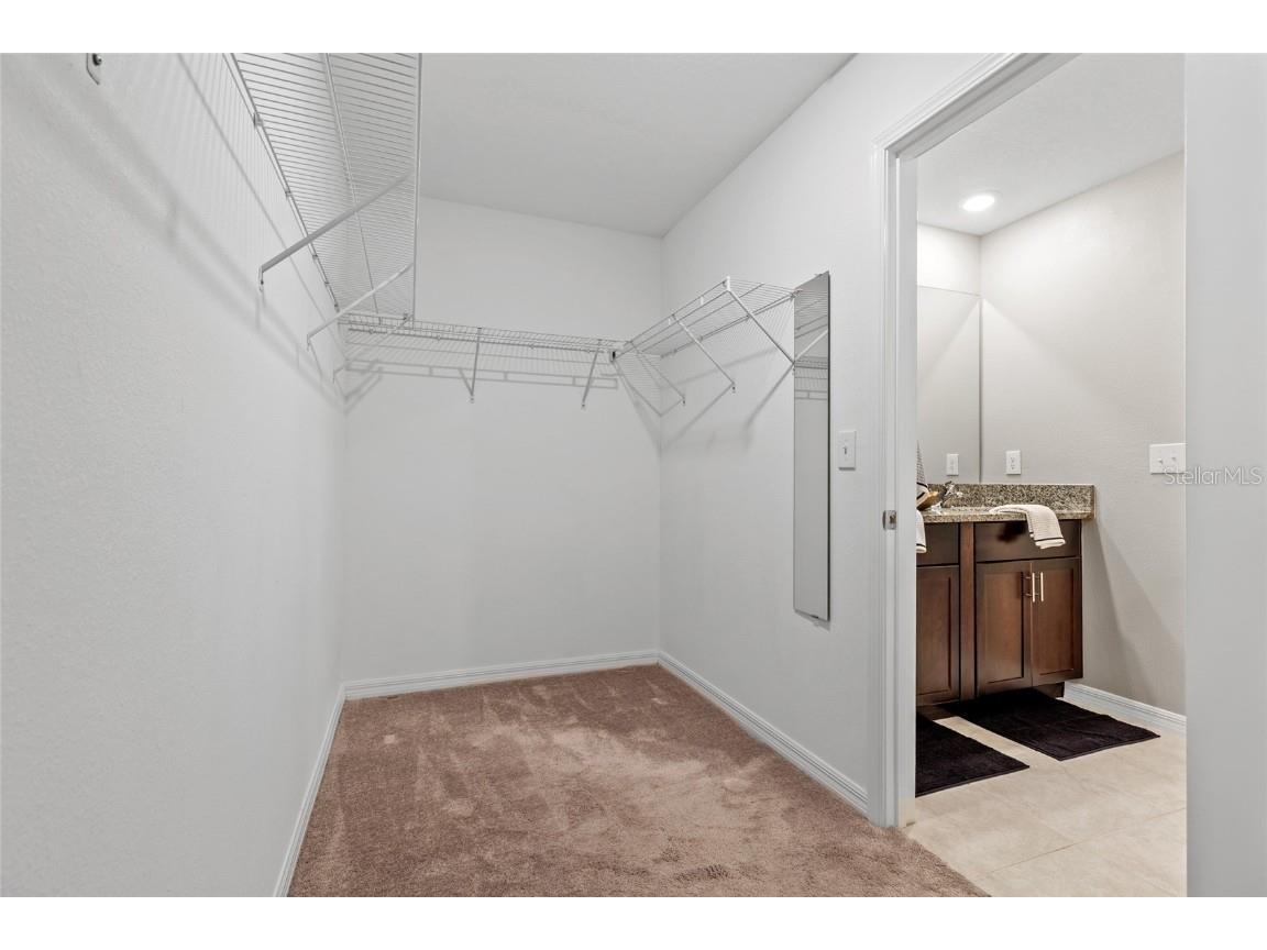 17901 Cloudless Bliss Drive Lutz FL 33558 TB8414379 image45