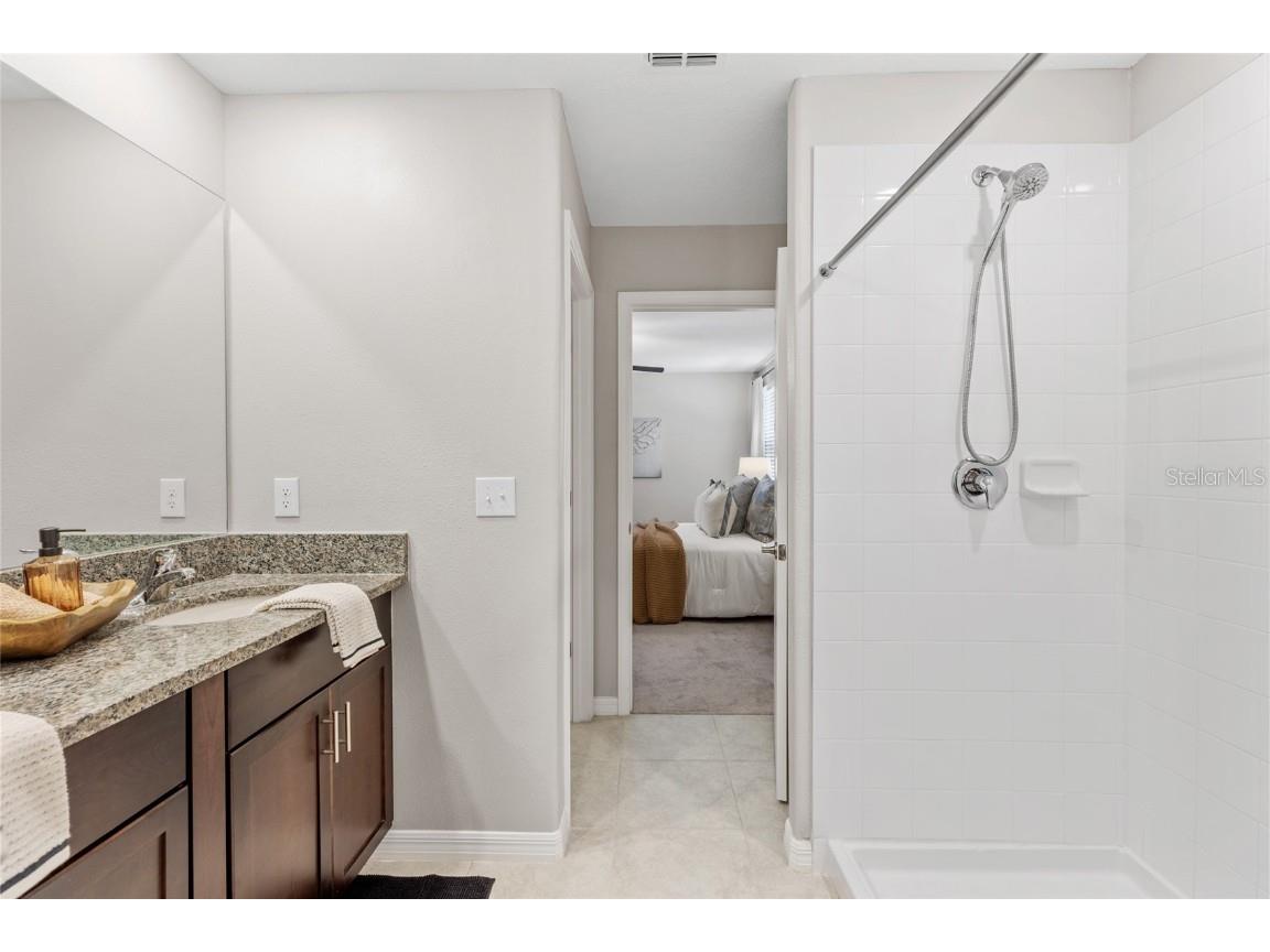 17901 Cloudless Bliss Drive Lutz FL 33558 TB8414379 image47