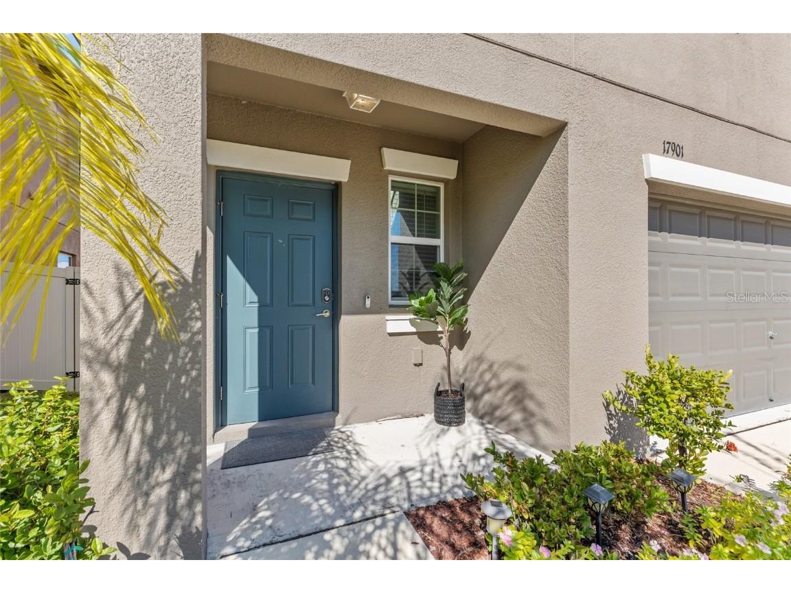 17901 Cloudless Bliss Drive Lutz FL 33558 TB8414379 image5