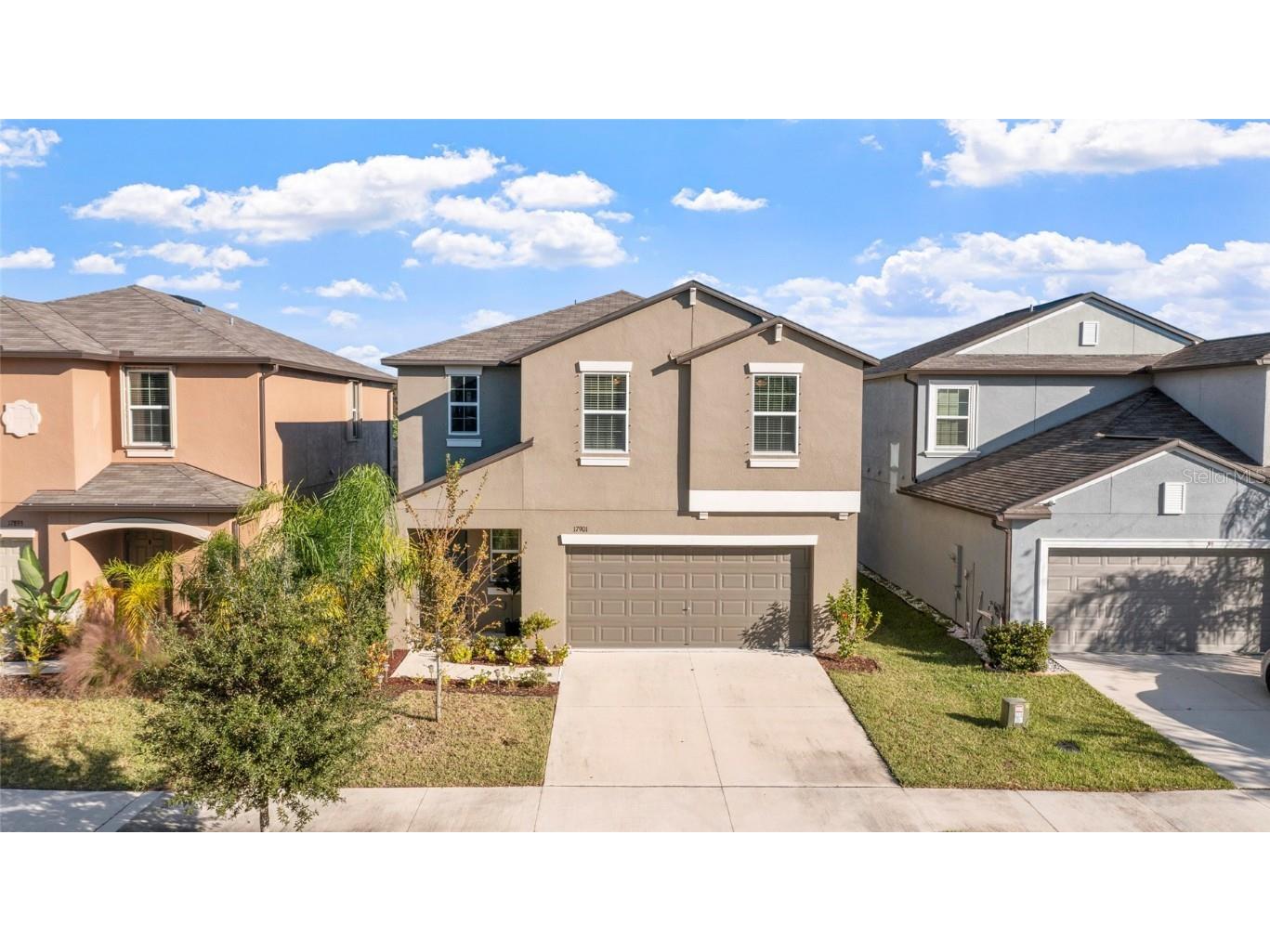 17901 Cloudless Bliss Drive Lutz FL 33558 TB8414379 image57