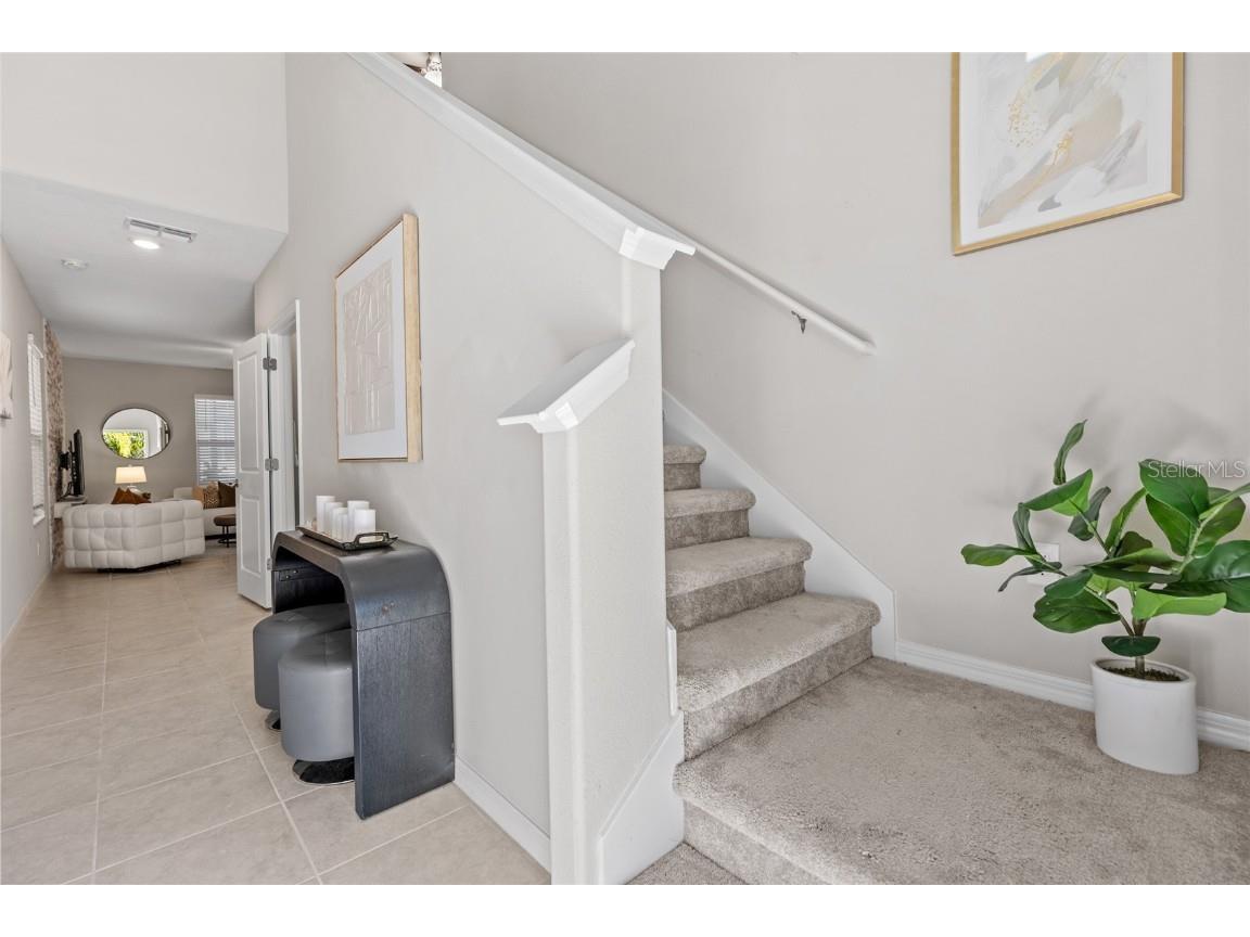 17901 Cloudless Bliss Drive Lutz FL 33558 TB8414379 image6